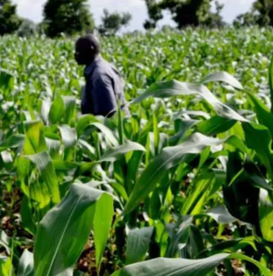 AGRICULTURAL SCIENCE